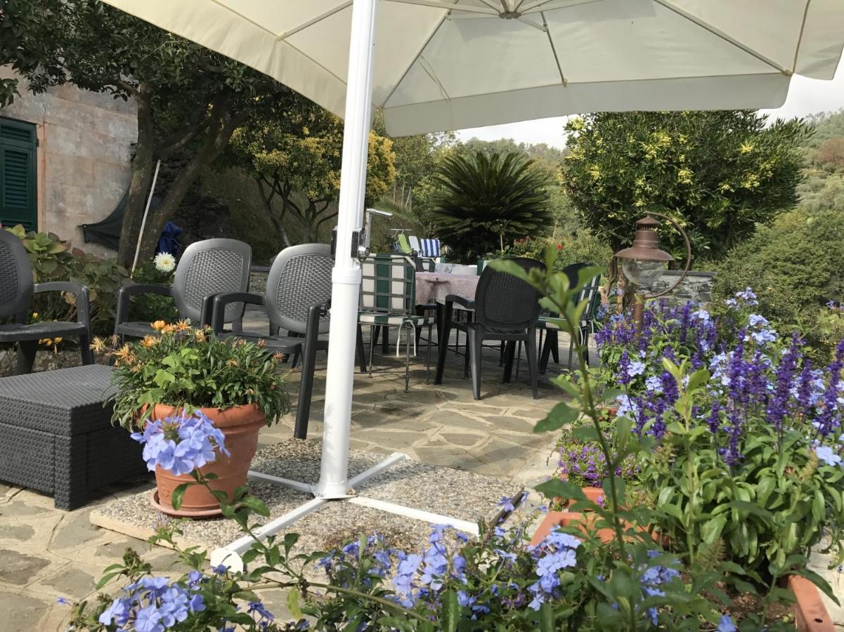 Agriturismo Terre Rosse Portofino Villa Exterior photo