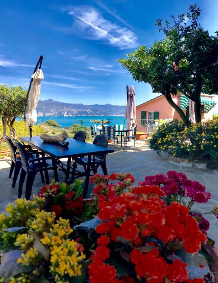 Agriturismo Terre Rosse Portofino Villa Exterior photo