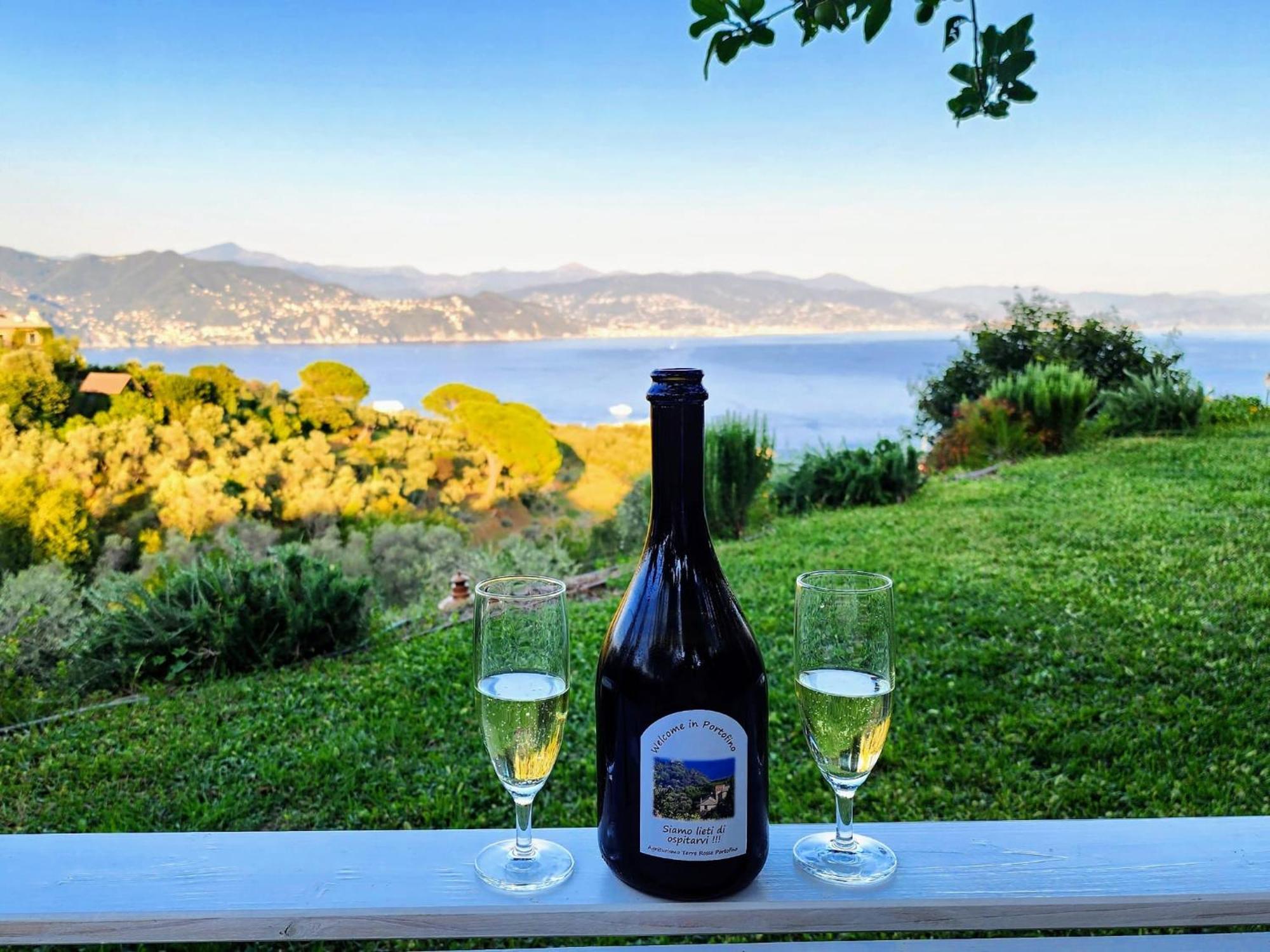 Agriturismo Terre Rosse Portofino Villa Exterior photo